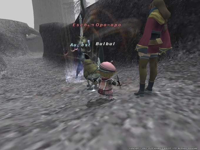 20240717-154528.12.jpeg