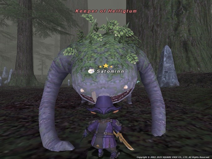 20250626-201925.95.jpeg