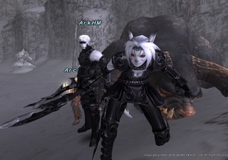 AAMR.jpg