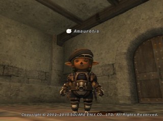 Ama150409125057a.jpg