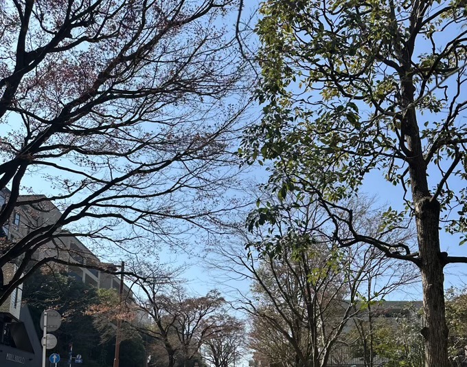 IMG_0604.jpeg
