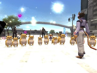 catfestival.jpg