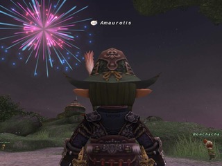 firework.jpg