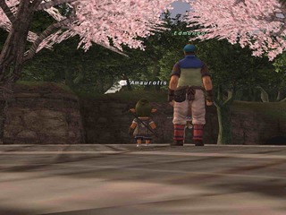 futari-sakura.jpg