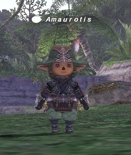 hizamaru.jpg