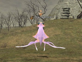 ika.jpg