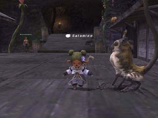 monkey.jpg
