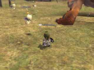 mooglewith.jpg