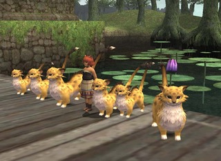 nekomaturi.jpg