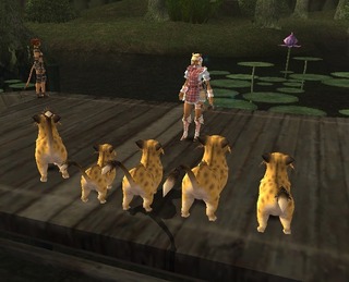 nekoschool.jpg