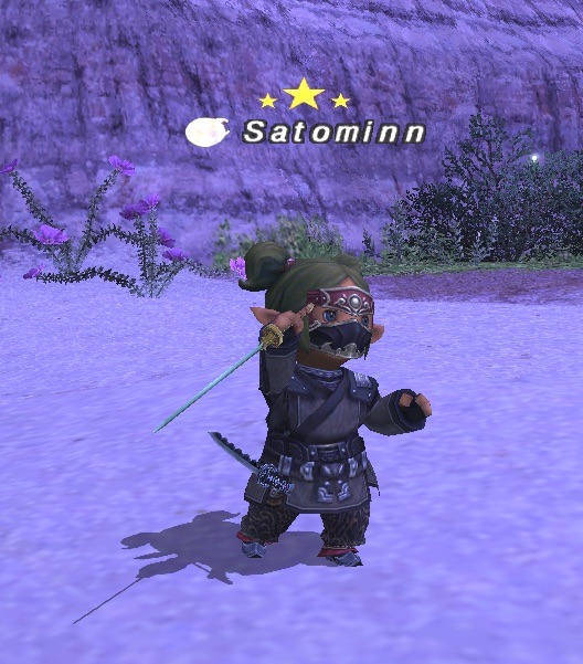 ninmaster.jpg