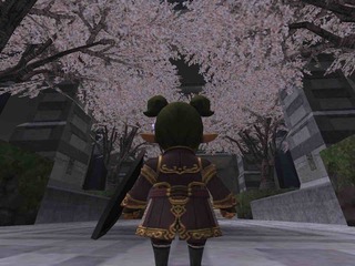 sakurafubuki.jpg