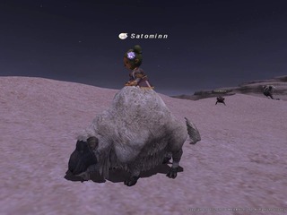 sheepmount.jpg