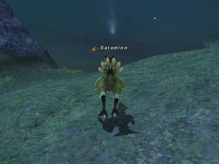 shootingstar.jpg