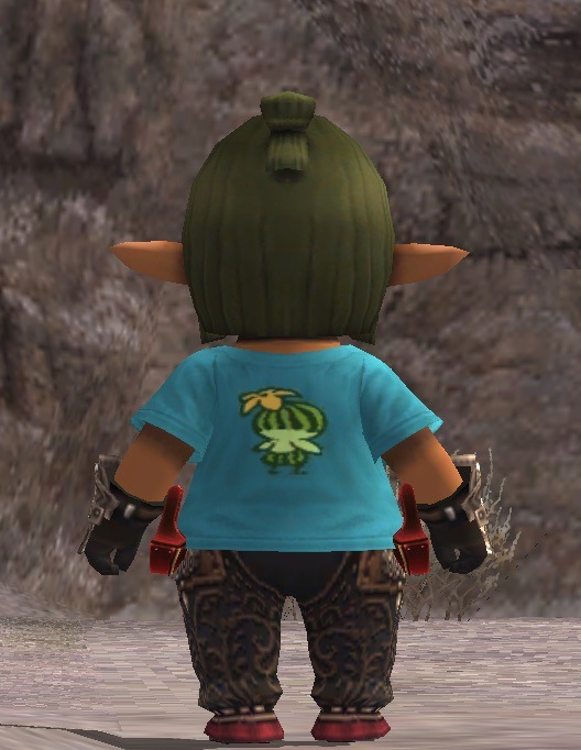 watermelonshirts.jpg