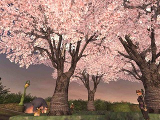 win-hanami.jpg